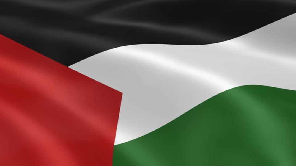 Palestinian Flag
